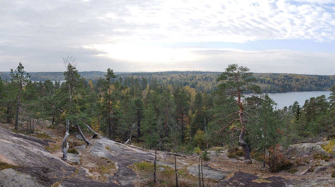 Kuva nuuksion kansallispuistosta